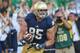 SOUTH BEND, IN - SEPTEMBER 28: Troy Niklas #85 of the Notre Dame Fighting Irish celebrates his touchdown catch against the Oklahoma Sooners at Notre Dame Stadium on September 28, 2013 in South Bend, Indiana. Oklahoma defeated Notre Dame 35-21. (Photo by