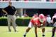 Georgia head coach Mark Richt