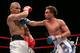 NEW YORK - JUNE 10: (R-L) Paul Malignaggi makes contact with Miguel Cotto of Puerto Rico during their WBO Junior Welterweight Title on June 10, 2006 at Madison Square Garden in New York City. (Photo by Nick Laham/Getty Images)
