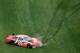 A crash in the 2009 Daytona 500 and a last-place finish put Logano in a rut to begin his rookie season in the Sprint Cup Series.