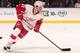ST. LOUIS, MO - APRIL 13: Tomas Tatar #21 of the Detroit Red Wings skates against the St. Louis Blues during an NHL game on April 13, 2014 at Scottrade Center in St. Louis, Missouri. (Photo by Mark Buckner/NHLI via Getty Images)