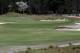 No-rough look and more natural looking hazards look will debut at U.S. Open.