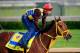 LOUISVILLE, KY - APRIL 29: Wildcat Red is ridden by Juan Belmonte during the morning exercise session in preparation for the140th Kentucky Derby at Churchill Downs on April 29, 2014 in Louisville, Kentucky. (Photo by Rob Carr/Getty Images)