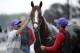 Apr 29, 2014; Louisville, KY, USA; Groom Raul Rodriguez washes Kentucky Derby hopeful California Chrome while exercise rider William Delgado holds the horse steady following a morning workout out at Churchill Downs. Mandatory Credit: Jamie Rhodes-USA TODA