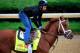 LOUISVILLE, KY - APRIL 30: Danza ridden by Ezequiel Perez goes over the track during the morning exercise session in preparation for the 140th Kentucky Derby at Churchill Downs on April 30, 2014 in Louisville, Kentucky. (Photo by Rob Carr/Getty Images)