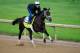 LOUISVILLE, KY - APRIL 30: Intense Holiday ridden by Isabelle Bourez trains on the track during the morning exercise session in preparation for the 140th Kentucky Derby at Churchill Downs on April 30, 2014 in Louisville, Kentucky. (Photo by Rob Carr/Get