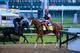 LOUISVILLE, KY - APRIL 30: California Chrome ridden by William Delgado walks off the track following a morning exercise session in preparation for the 140th Kentucky Derby at Churchill Downs on April 30, 2014 in Louisville, Kentucky. (Photo by Rob Carr/