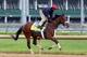 LOUISVILLE, KY - APRIL 30: Wicked Strong runs on the track during the morning training for the Kentucky Derby at Churchill Downs on April 30, 2014 in Louisville, Kentucky. (Photo by Andy Lyons/Getty Images)