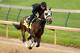 LOUISVILLE, KY - APRIL 29: General A Rod is ridden by Joel Barrientos during the morning exercise session in preparation for the140th Kentucky Derby at Churchill Downs on April 29, 2014 in Louisville, Kentucky. (Photo by Matthew Stockman/Getty Images)
