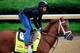LOUISVILLE, KY - APRIL 30: Danza ridden by Ezequiel Perez goes over the track during the morning exercise session in preparation for the 140th Kentucky Derby at Churchill Downs on April 30, 2014 in Louisville, Kentucky. (Photo by Rob Carr/Getty Images)