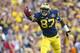 ANN ARBOR, MI - OCTOBER 05: Devin Funchess #87 of the Michigan Wolverines celebrates after catching a 46 yard pass during the fourth quarter of the game against the Minnesota Golden Gophers at Michigan Stadium on October 5, 2013 in Ann Arbor, Michigan. M
