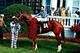Ron Turcotte and Secretariat at the 1973 Kentucky Derby