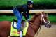 LOUISVILLE, KY - APRIL 30: Danza ridden by Ezequiel Perez goes over the track during the morning exercise session in preparation for the 140th Kentucky Derby at Churchill Downs on April 30, 2014 in Louisville, Kentucky. (Photo by Rob Carr/Getty Images)