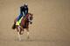 LOUISVILLE, KY - APRIL 30: Danza ridden by Ezequiel Perez goes over the track during the morning exercise session in preparation for the 140th Kentucky Derby at Churchill Downs on April 30, 2014 in Louisville, Kentucky. (Photo by Rob Carr/Getty Images)