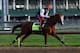 LOUISVILLE, KY - MAY 01: California Chrome runs on the track during the morning training for the Kentucky Derby at Churchill Downs on May 1, 2014 in Louisville, Kentucky. (Photo by Andy Lyons/Getty Images)