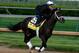 LOUISVILLE, KY - MAY 01: Kentucky Derby contender Intense Holiday works out on the track during early morning workouts at Churchill Downs on May 1, 2014 in Louisville, Kentucky. (Photo by Kevin C. Cox/Getty Images)