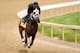 LOUISVILLE, KY - APRIL 29: General A Rod is ridden by Joel Barrientos during the morning exercise session in preparation for the140th Kentucky Derby at Churchill Downs on April 29, 2014 in Louisville, Kentucky. (Photo by Matthew Stockman/Getty Images)