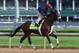 Wood winner Wicked Strong stretches his legs in the morning.