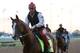 LOUISVILLE, KY - MAY 01: Kentucky Derby contender California Chrome works during early morning workouts at Churchill Downs on May 1, 2014 in Louisville, Kentucky. (Photo by Kevin C. Cox/Getty Images)