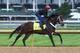 LOUISVILLE, KY - APRIL 30: Ride On Curlin runs on the track during the morning training for the Kentucky Derby at Churchill Downs on April 30, 2014 in Louisville, Kentucky. (Photo by Andy Lyons/Getty Images)