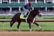 LOUISVILLE, KY - MAY 01: Wicked Strong runs on the track during the morning training for the Kentucky Derby at Churchill Downs on May 1, 2014 in Louisville, Kentucky. (Photo by Andy Lyons/Getty Images)