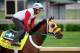 LOUISVILLE, KY - APRIL 29: Uncle Sigh is ridden by Nick Santagata during the morning exercise session in preparation for the140th Kentucky Derby at Churchill Downs on April 29, 2014 in Louisville, Kentucky. (Photo by Rob Carr/Getty Images)