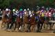 California Chrome took over in the homestretch
