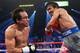 Ready for another Pacquiao-Marquez bout?