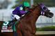LOUISVILLE, KY - MAY 03: California Chrome #5, ridden by Victor Espinoza, comes out of the fourth turn enroute to winning the 140th running of the Kentucky Derby at Churchill Downs on May 3, 2014 in Louisville, Kentucky. (Photo by Andy Lyons/Getty Image