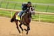 LOUISVILLE, KY - APRIL 25: Vicar's In Trouble is riden by Joel Barrientos during the morning exercise session in preparation for the 140th Kentucky Derby at Churchill Downs on April 25, 2014 in Louisville, Kentucky. (Photo by Matthew Stockman/Getty Image