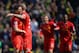NORWICH, ENGLAND - APRIL 20: Martin Skrtel of Liverpool celebrates with Steven Gerrard of Liverpool at the final whistle during the Barclays Premier League match between Norwich City and Liverpool at Carrow Road on April 20, 2014 in Norwich, England. (P