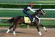 LOUISVILLE, KY - MAY 01: Kentucky Derby contender Ride On Curlin works out on the track during early morning workouts at Churchill Downs on May 1, 2014 in Louisville, Kentucky. (Photo by Kevin C. Cox/Getty Images)