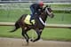 Ride On Curlin
