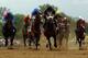 BALTIMORE, MD - MAY 18: Oxbow #6, ridden by Gary Stevens, leads the field at the start of the race to win the 138th running of the Preakness Stakes at Pimlico Race Course on May 18, 2013 in Baltimore, Maryland. (Photo by Matthew Stockman/Getty Images)