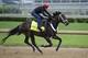 Apr 30, 2014; Louisville, KY, USA; Exercise rider Bryan Beccia works out Kentucky Derby hopeful Ride on Curlin on the track during morning workouts at Churchill Downs. Mandatory Credit: Jamie Rhodes-USA TODAY Sports