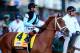 LOUISVILLE, KY - MAY 03: Danza #4, ridden by Joe Bravo, takes part in the post parade prior the 140th running of the Kentucky Derby at Churchill Downs on May 3, 2014 in Louisville, Kentucky. (Photo by Rob Carr/Getty Images)
