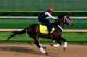 LOUISVILLE, KY - MAY 01: Kentucky Derby contender Ride On Curlin works out on the track during early morning workouts at Churchill Downs on May 1, 2014 in Louisville, Kentucky. (Photo by Jamie Squire/Getty Images)