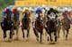 BALTIMORE, MD - MAY 18: Oxbow #6, ridden by Gary Stevens, leads the field at the start of the race to win the 138th running of the Preakness Stakes at Pimlico Race Course on May 18, 2013 in Baltimore, Maryland. (Photo by Patrick Smith/Getty Images)