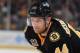 BOSTON, MA - DECEMBER 27: Dennis Seidenberg #44 of the Boston Bruins waits for the face off against the Ottawa Senators at the TD Garden on December 27, 2013 in Boston, Massachusetts. (Photo by Steve Babineau/NHLI via Getty Images)