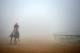 BALTIMORE, MD - MAY 15: Exercise rider Willie Delgado takes Kentucky Derby winner California Chrome over the track in preparation for the 139th Preakness Stakes at Pimlico Race Course on May 15, 2014 in Baltimore, Maryland. (Photo by Patrick Smith/Getty