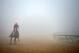 BALTIMORE, MD - MAY 15: Exercise rider Willie Delgado takes Kentucky Derby winner California Chrome over the track in preparation for the 139th Preakness Stakes at Pimlico Race Course on May 15, 2014 in Baltimore, Maryland. (Photo by Patrick Smith/Getty