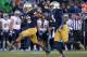 SOUTH BEND, IN - NOVEMBER 02: Eilar Hardy #16 (L) and Jaylon Smith #9 of the Notre Dame Fighting Irish celebrate a sack against the Navy Midshipmen at Notre Dame Stadium on November 2, 2013 in South Bend, Indiana. Notre Dame defeated Navy 38-34. (Photo
