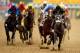 BALTIMORE, MD - MAY 18: Oxbow #6, ridden by Gary Stevens, leads the field to the finish line to win the 138th running of the Preakness Stakes at Pimlico Race Course on May 18, 2013 in Baltimore, Maryland. (Photo by Patrick Smith/Getty Images)