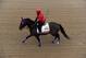 BALTIMORE, MD - MAY 15: Exercise rider Domingo Navarro takes Social Inclusion over the track in preparation for the 139th Preakness Stakes at Pimlico Race Course on May 15, 2014 in Baltimore, Maryland. (Photo by Patrick Smith/Getty Images)