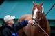 Seventy-seven-year-old trainer Art Sherman calls California Chrome a "push-button" horse.