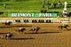 ELMONT, NY - JUNE 08: Palace Malice #12 ridden by Mike Smith wins the 145th running of the Belmont Stakes followed by Oxbow #7 Ridden by Gary Stevens and and Orb #5 ridden by Joel Rosario at Belmont Park on June 8, 2013 in Elmont, New York. (Photo by Al