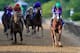 BALTIMORE, MD - MAY 17: California Chrome #3, ridden by Victor Espinoza, races to the finish line enroute to winning the 139th running of the Preakness Stakes at Pimlico Race Course on May 17, 2014 in Baltimore, Maryland. (Photo by Rob Carr/Getty Images
