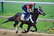 BALTIMORE, MD - MAY 14: Exercise rider Bryan Beccia takes Ride On Curlin over the track in preparation for the 139th Preakness Stakes at Pimlico Race Course on May 14, 2014 in Baltimore, Maryland. (Photo by Rob Carr/Getty Images)