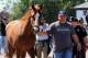 May 20, 2014; Elmont, NY, USA; California Chrome is led to the barn after arriving in advance of the Belmont Stakes at Belmont Park. Mandatory Credit: Anthony Gruppuso-USA TODAY Sports