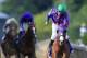 BALTIMORE, MD - MAY 17: Victor Espinoza celebrates atop California Chrome #3 after winning the 139th running of the Preakness Stakes at Pimlico Race Course on May 17, 2014 in Baltimore, Maryland. (Photo by Rob Carr/Getty Images)